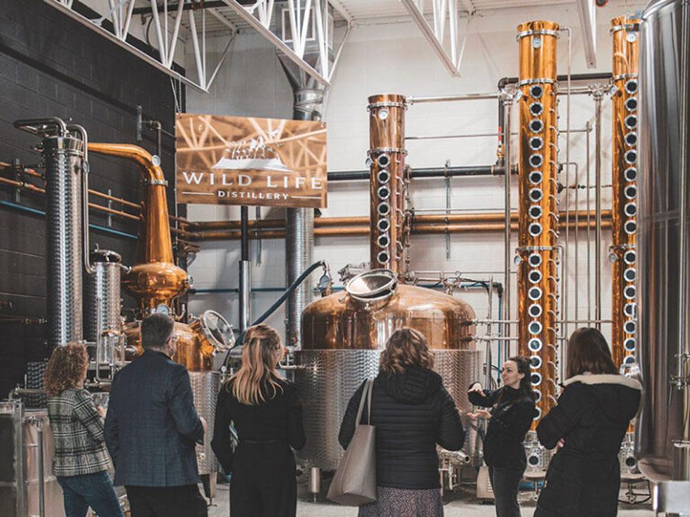 <b>4500L Complete Grain Whisky D</b>